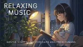 Relaxing Music for Deep Night Rest | Gentle Night Music for Cats and Their Humans | A Softer Pace