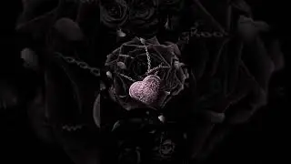 Galaxy Themes - [poly] black rose heart
