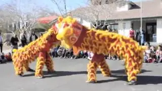 Chinese New Year 2013 Year of the Snake