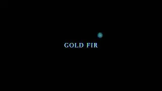 Gold Fir - Night Walk [Official Video]