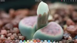 How to install Sublime Text (Linux)