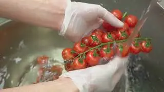 Why Grow Cherry Tomatoes? Prolific Producers in the Garden