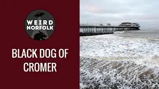 Weird Norfolk - The ghost dog of Cromer beach