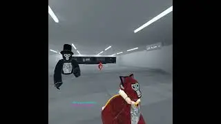 fast or slow