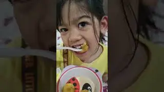 naemi review bitterballen mema