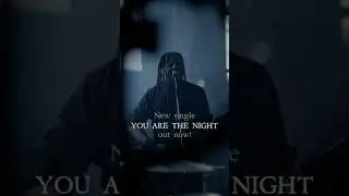 ⁠@HeretoirOfficial YOU ARE THE NIGHT is out now #metal #postmetal #metalcore #blackmetal #alcest