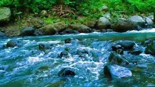 3 Hours of Tranquil Flowing Water Sounds || Pure River Sound