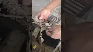 The light bulb is not on#repaircar #mechanic #car #automotive #shorts #diy #auto #fyp #toyota #duet#