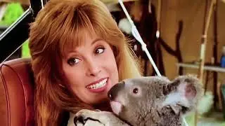 Hart to Hart - Roam