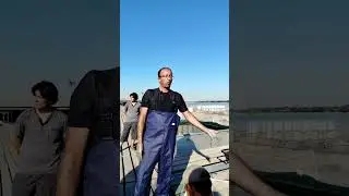 Sadokda karp yetishtirish: 5 grammlik baliqlar 2 oyda qancha bo‘ldi? | Sarterovka jarayoni