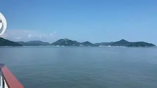 Jeju Ferry - Dragonflies and a boat in our wake #islands #yellowsea #seatravel #dragonflies #boat