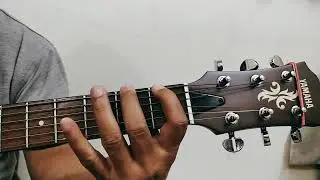 Fretting Hand Fingers - Speed Enhancement. #guitar #music #guitarstudio #guitarist #guitarmusic