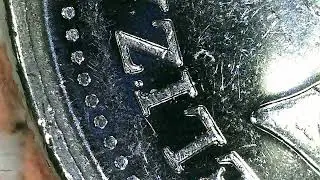 Coin Error on 2013 Canadian Quarter frosted whale version