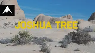 Hiking & Camping in Joshua Tree National Park!