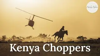 Let's Talk Kenya Choppers!