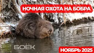 НОЧНАЯ ОХОТА НА БОБРА С КАРАБИНОМ СКС И ТЕПЛОВИЗОРОМ SFH VARG 35RL