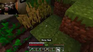 6 Idiots play minecraft on a server #minecraft #live #funny #server