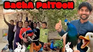 Bacha paltoon a gye chota jungle ma 🤪😂||chota jungle vlog ||(@shehrmaindihat )#petvlog 
