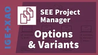 Rediffusion - Webinaire SEE Project Manager et Options and Variants