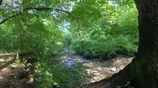 Insta360 X3 video tour of the gorge trail at Sharon Woods. Cincinnati, Ohio