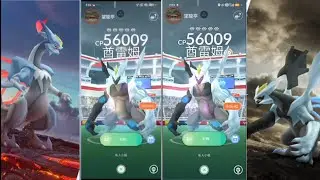（寶可夢go pokemon go）2帳號挑戰「闇黑」酋雷姆