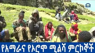 የፋሽስት ቡድን ህዝቡን ወደ ጦርነት ገብቶ እንዲያልቅ ከማድረጉ ባሻገር ከኋላ በራሱ ሰራዊት እየተወጋ መሆኑን የአማራና የኦሮሞ ሚልሻ ምርኮኞች ተናገሩ