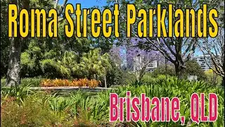 Roma Street Parklands - An Urban Garden Paradise @kartwheelkarl #brisbane #queensland #australia