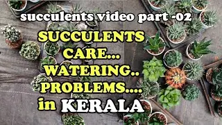 succulents video part-2,  succulents care, watering, propagation detailed info  in kerala climate