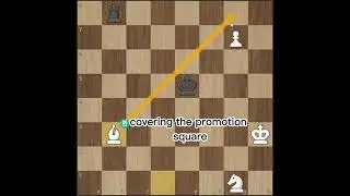 The Power of A Passed Pawn!!