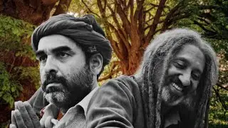 Sherdil The Pilibhit Saga Movie Explained - Man vs Wild vs Man | Long Live Cinema