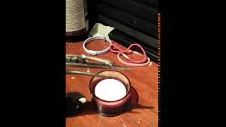 Fire eating hair clip
