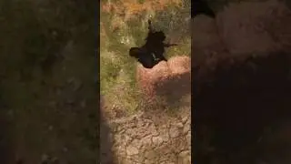 Assassin's Creed Valhalla realistic physics