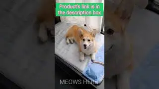 Summer Dog Bed Pet Supplies Ice Silk Pad Dog Sofa Bed With Pillow Cooling And Comfortable