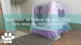 4 astuces pour nettoyer la liti&egrave;re de son chat | Assur O'Poil