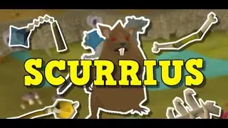 Scurrius Full AFK Guide