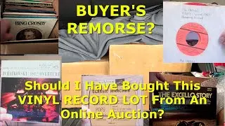 BUYER'S REMORSE?  Should I Have Bought This VINYL RECORD Lot From An Online Auction?
