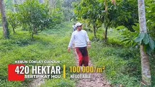 JUAL KEBUN COKLAT CIANJUR | 420 HEKTAR SHGU | 100 RIBU/m² NEGO
