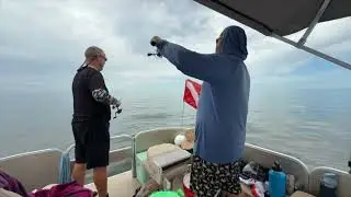 Florida's HIDDEN TREASURES: Scalloping adventures You CAN'T miss!!