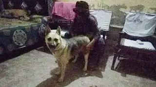 One Boy. One Dog. Endless Love 🐶✨ | Their Story Will Touch You!