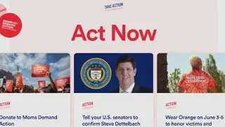 Grassroots organizations nationwide push for 'common sense gun laws' to prevent mass shootings