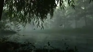 Long Rain Sounds (3 Hours) | Stress Relief & Deep Focus