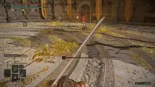ELDEN RING_20240328181414 backstab fail
