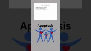 Apoptosis