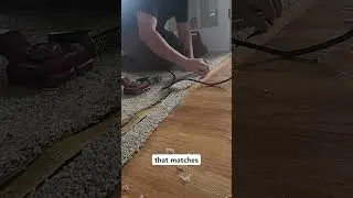 Repairing a frayed carpet edges || Colorado Springs #shorts #carpetrepair #professionalcarpetrepair