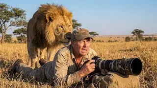 A Lion Sneaks Up on a Photographer During Safari, What Happened Next Shocked Everyone
