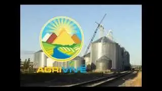 Purchase Bulk Food Sugar, Bulk Sugar for Sale, Buy Bulk Sugar, Bulk Wholesale Sugar, Bulk Sugar