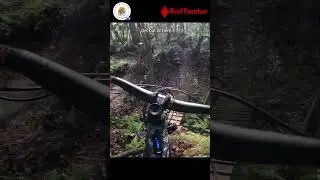 Red Panther at Chuck Lennon Mountain Bike Park - First Half - Central Florida Bike Tours