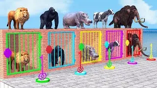 Cow Mammoth Elephant Gorilla Lion Hippo Guess The Right Key ESCAPE ROOM CHALLENGE Animals Cage Game