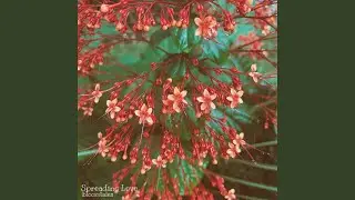 Spreading Love