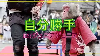 自分勝手 Jr.2 / ジュニアジュニア 〜猿回し〜 日光さる軍団 FUJIFILM X-T100 / XF35mmF1.4
